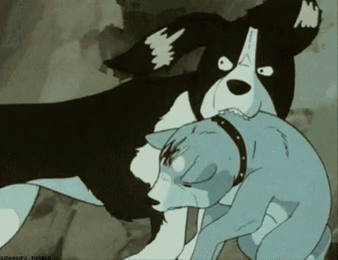 a black and white dog is laying on a blue dog .