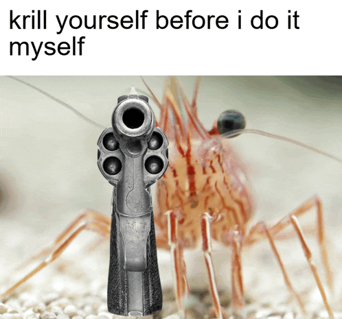 a picture of a shrimp with a gun pointed at it with the caption krill yourself before i do it myself