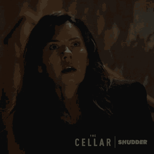 The Cellar Horror GIF - The Cellar Horror Shudder GIFs