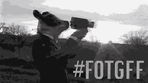 a black and white photo of a cow in a suit holding a camera .