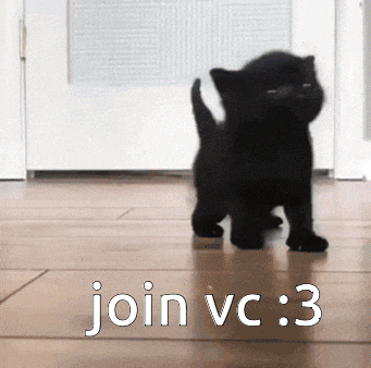 Cat Vc GIF - Cat Vc Join Vc GIFs