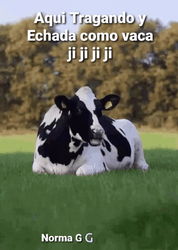 Vaca Echada GIF - Vaca Echada Comiendo GIFs