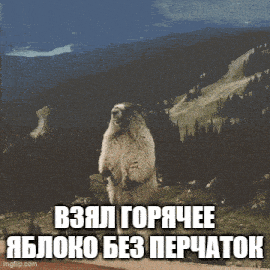 a marmot is standing on its hind legs in front of a mountain with a caption in russian