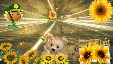 a teddy bear is surrounded by sunflowers with a good night message