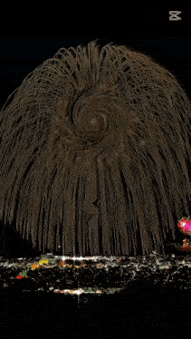 a drawing of a fireworks display with the word elvis in the center