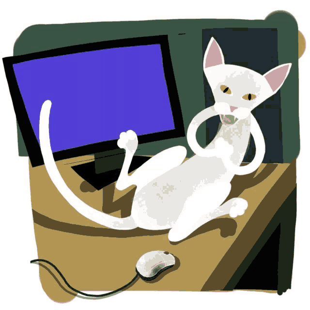 a white cat laying on a desk in front of a computer