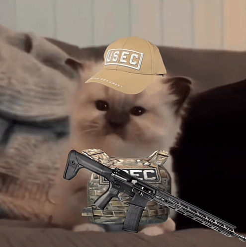 Tarkov Cat Meme - Tarkov Cat - Discover & Share GIFs