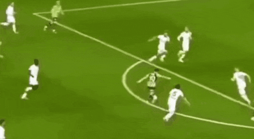 a group of soccer players are playing on a field .