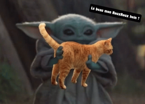 Roux Rouxroux GIF - Roux Rouxroux Chat GIFs