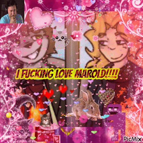 a pink and purple collage with the words i fucking love marold