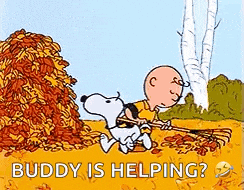 a cartoon of snoopy and charlie brown raking leaves with the words `` buddy is helping ? ''