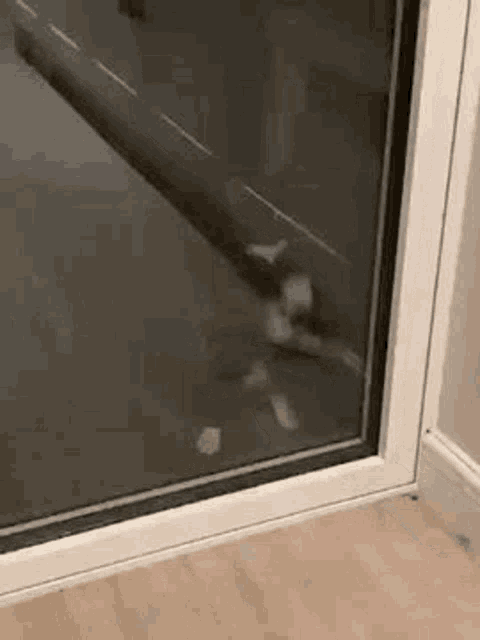 Let Me In Knock GIF - Let Me In Knock Help GIFs