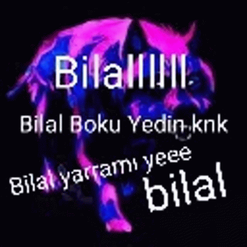 Bilal Boku Yedin GIF - Bilal Boku Yedin Mal GIFs