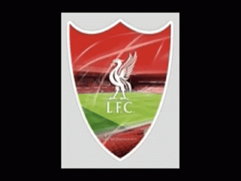 Liverpool Fc GIF - Liverpool Fc GIFs