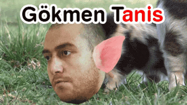 a man 's head is in the grass with the words gokmen tanis written above it