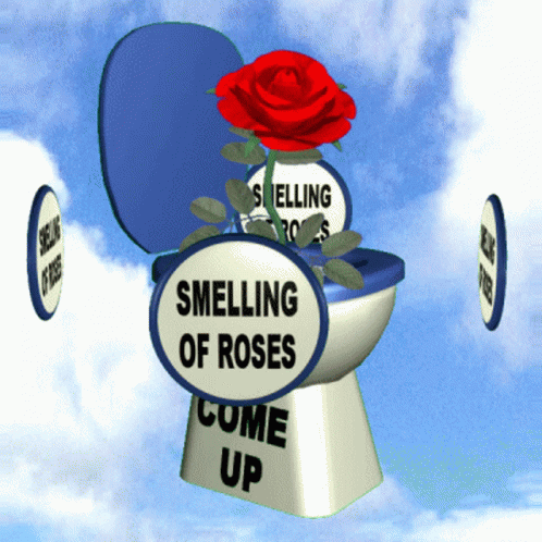 Come Up Smelling Of Roses Come Out Smelling Of Roses GIF - Come Up Smelling Of Roses Come Out Smelling Of Roses Maintain Reputation GIFs