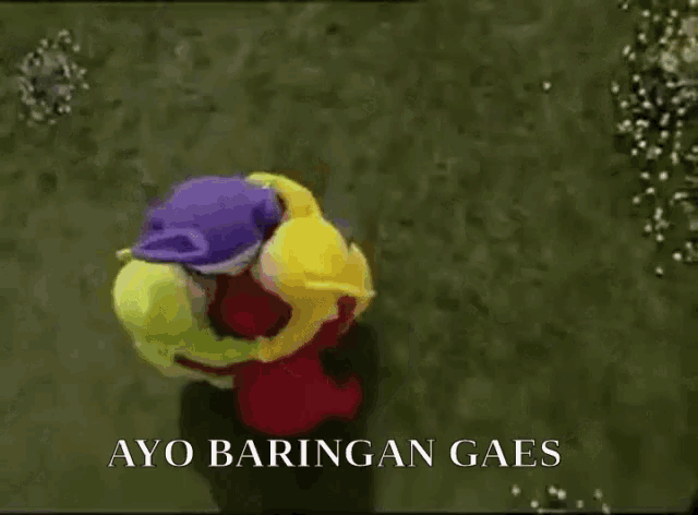 a group of teletubbies are laying on the grass with the words ayo baringan gaes in the bottom right corner .