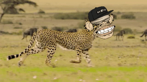 Bayc Bored Ape GIF - Bayc Bored Ape Cheetah Ape GIFs