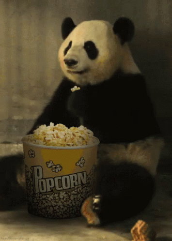 熊猫 爆米花 搞笑 GIF - Panda Popcorn Funny GIFs