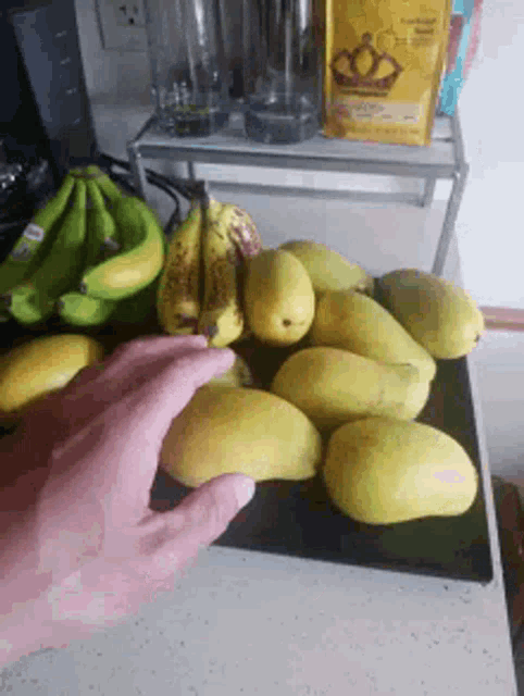Mango Mangoes GIF - Mango Mangoes Fruit GIFs