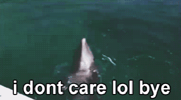 a dolphin is jumping out of the ocean with the words i dont care lol bye below it .