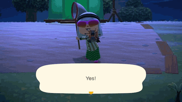 a video game character is holding a butterfly net and says yes
