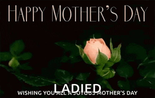 a mother 's day card with a pink rose