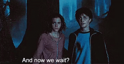 Harry Potter Hermione GIF - Harry Potter Hermione And GIFs