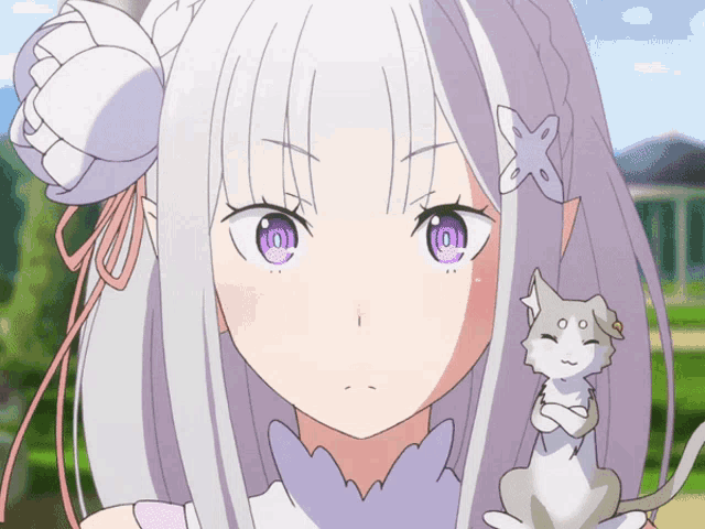 a girl with white hair and purple eyes is holding a white cat