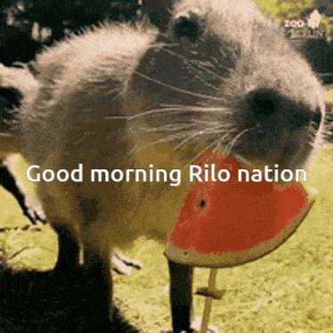 Rilo Ril0h GIF - Rilo Ril0h GIFs