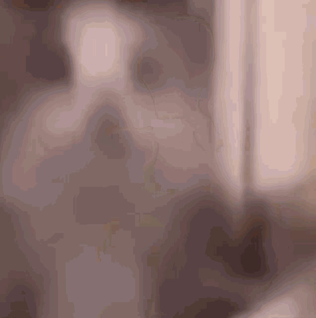 a close up of a cat 's face with a blurred background .