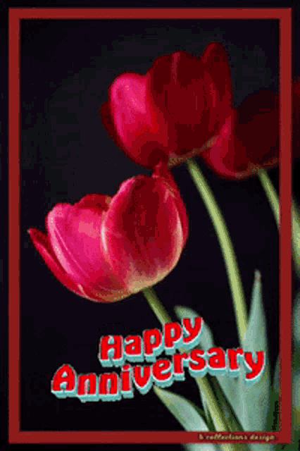a happy anniversary card with red flowers and green stems
