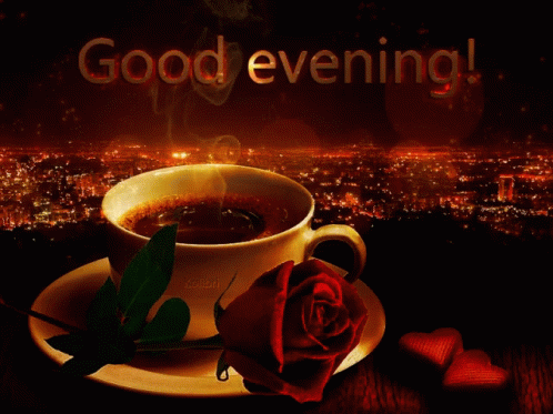 Good Evening Red Rose GIF - Good Evening Red Rose City Lights GIFs