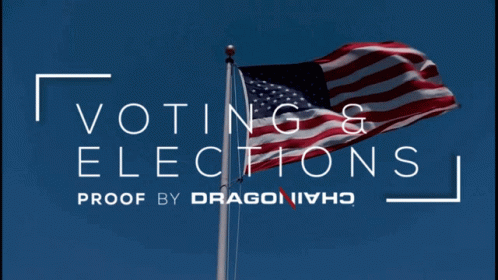 Voting Elections GIF - Voting Elections United States Flag GIFs