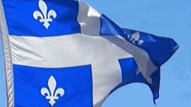 Québec Quebec GIF - Québec Quebec Quebec Flag GIFs