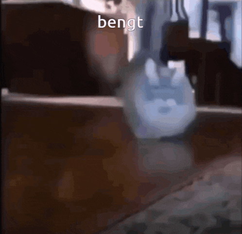 a blurry picture of a person walking with the word bengt written on the bottom