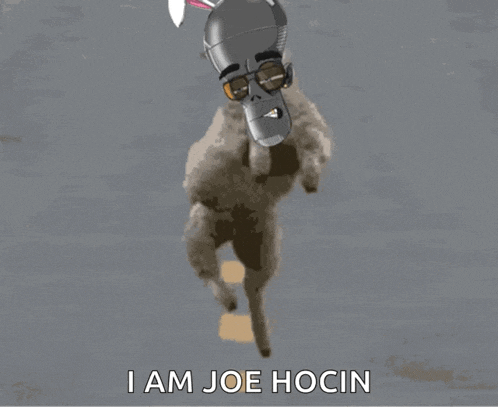 a cartoon of a dog with a robot head and the words " i am joe hocin " below it