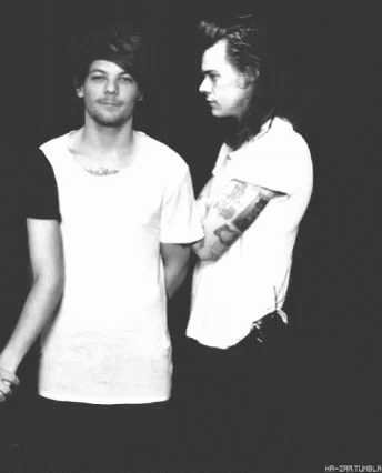 Larry Onedirection GIF - Larry Onedirection Stylinson GIFs