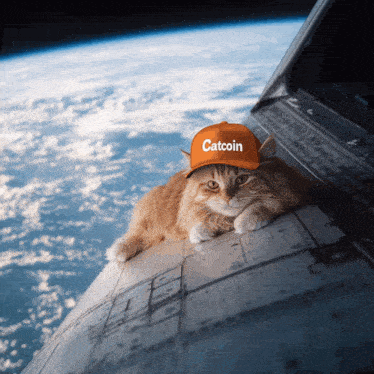 a cat wearing an orange catcoin hat is laying on a rocket