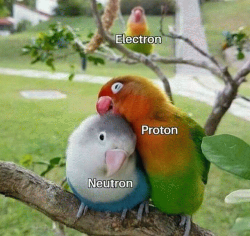 Physics Meme GIF - Physics Meme GIFs
