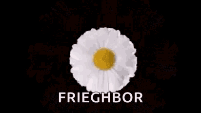 Freighbor 2dayu Will Bloom GIF - Freighbor 2dayu Will Bloom Bloomeautiful Day GIFs