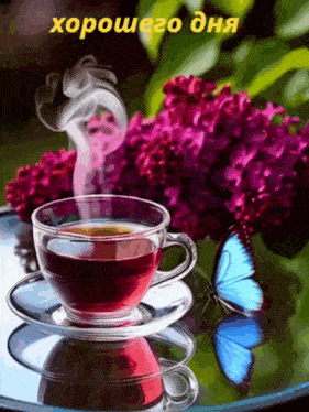 a cup of tea sits on a saucer next to a butterfly