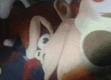 a close up of a stuffed animal 's face with a blurred background