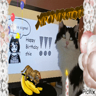 a black and white cat is standing in front of a screen that says happy birthday shie