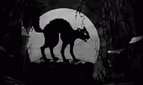 a black cat is standing on top of a rock in front of a full moon .