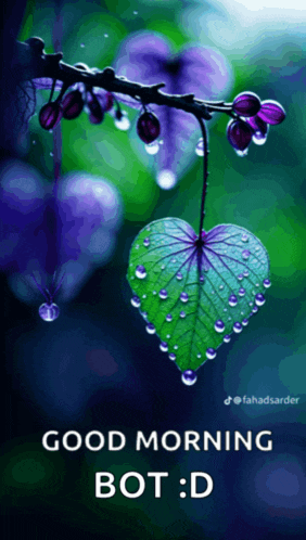 a picture of a heart shaped leaf with water drops on it says good morning bot : d