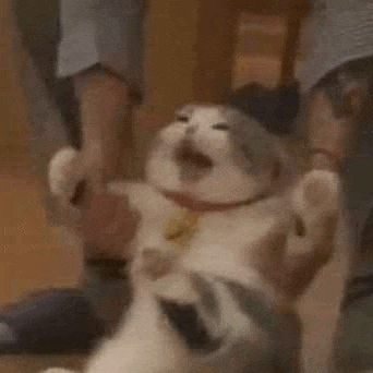 a person is holding a cat in their arms and it is yawning .