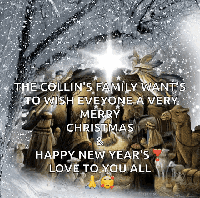 the collin 's family wants to wish everyone a very merry christmas