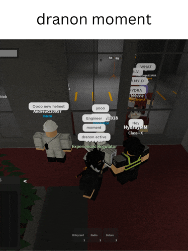 a screenshot of a video game with the words dranon moment on the top