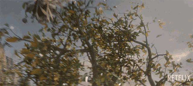a blurred image of a tree with netflix written on the bottom